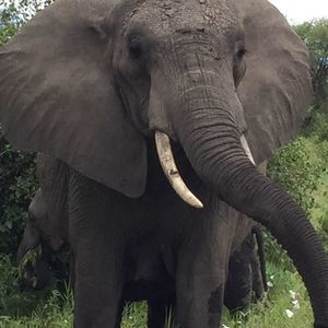 Meet your Posher, Maryann